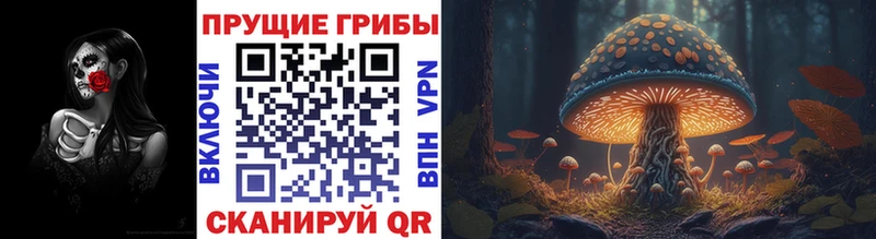 Псилоцибиновые грибы Magic Shrooms  Полесск 